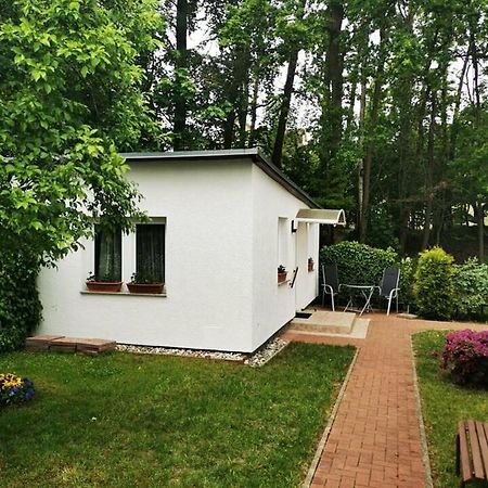 Ferienbungalow Im Igelbau Baabe Luaran gambar